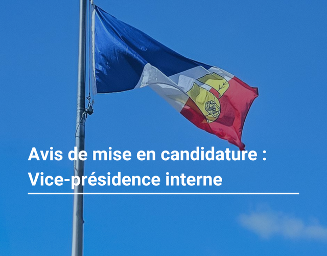 Avis de mise en candidature : Vice-présidence interne